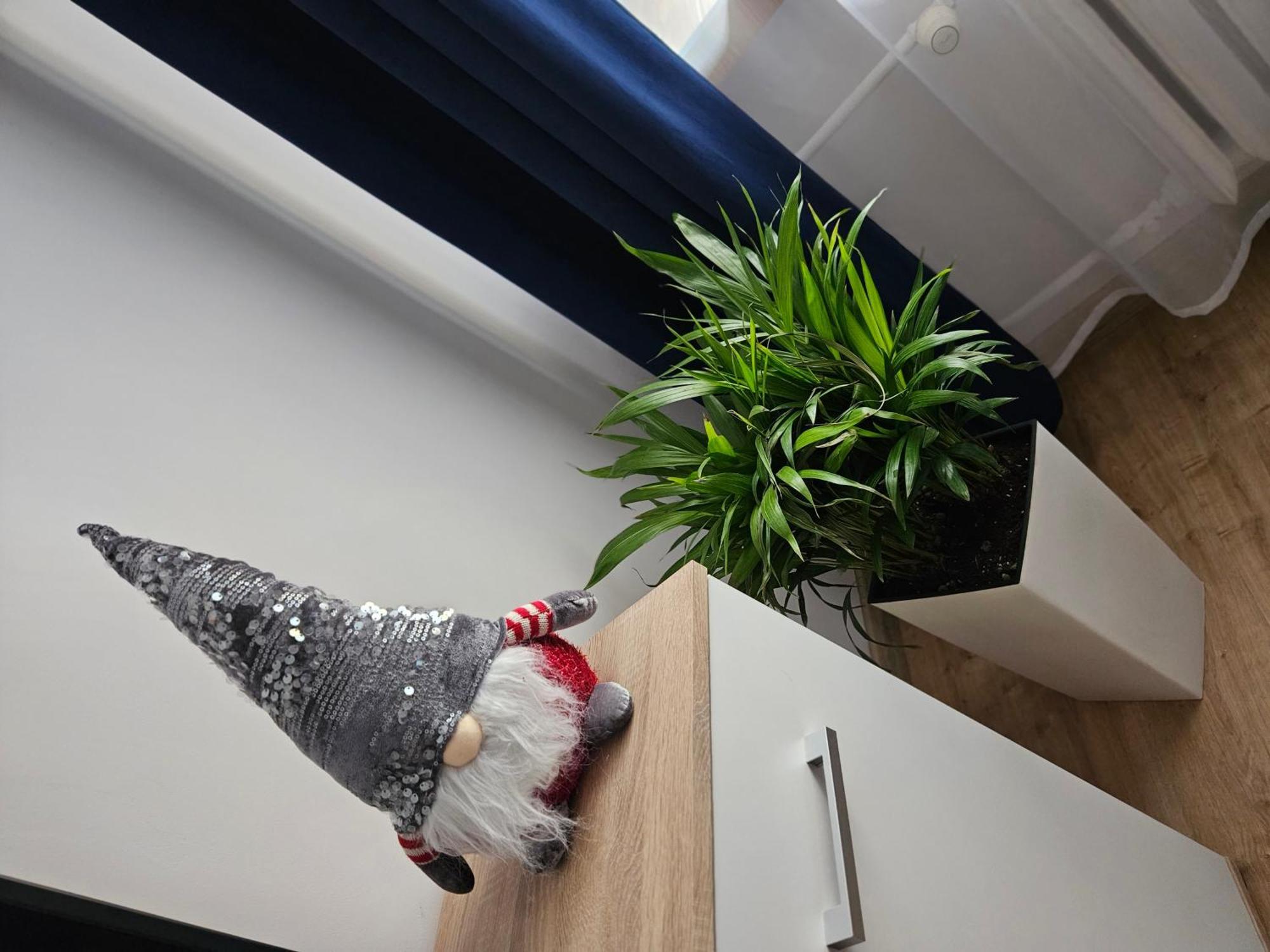 Apartamenty Koktajlove キェルツェ 部屋 写真